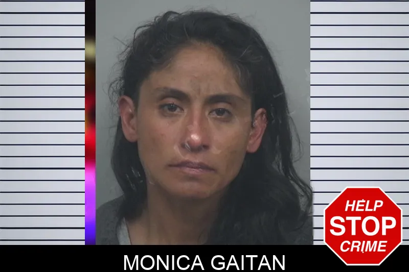 Monica Gaitan Mugshots