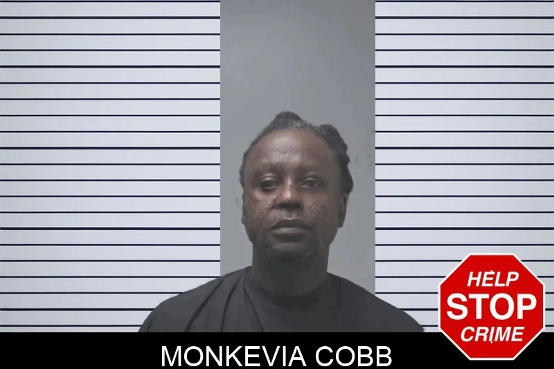 Monkevia Cobb mugshot – Coweta County , Georgia Monkevia Cobb mugshot