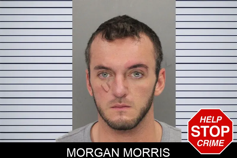 Morgan Morris mugshot – Cobb County , Georgia Morgan Morris mugshot