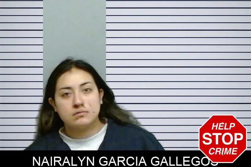 Nairalyn Garcia Gallegos Mugshots