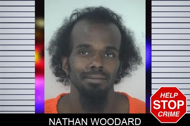 Nathan Woodard mugshot – Fayette County , Georgia Nathan Woodard