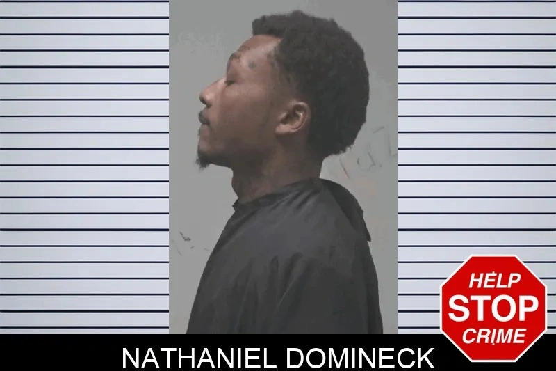 Nathaniel Domineck mugshot