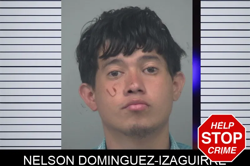 Nelson Dominguez-Izaguirre Mugshots