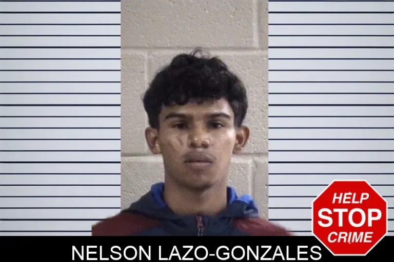 Nelson Lazo-Gonzales