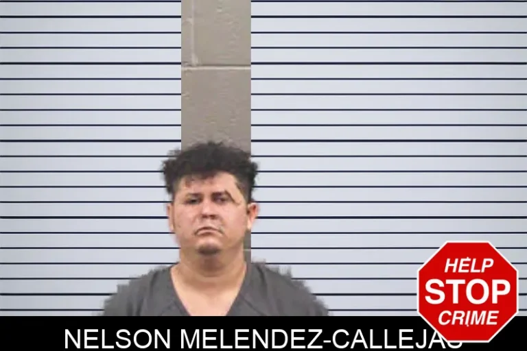 Nelson Melendez-Callejas