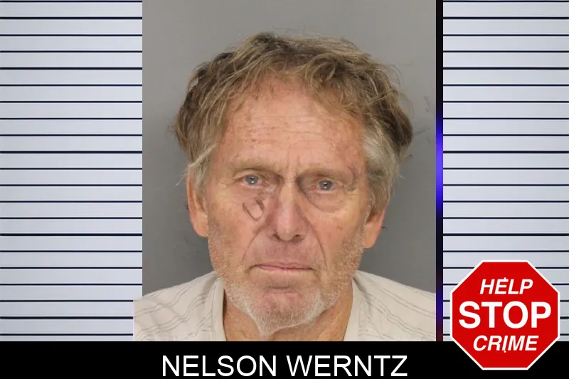 Nelson Werntz mugshot – Cobb County , Georgia Nelson Werntz mugshot