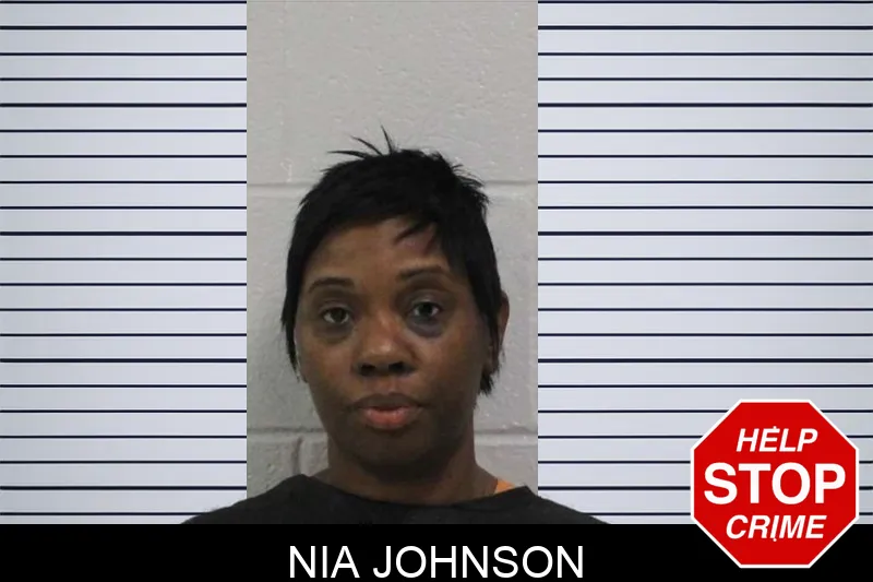 Nia Johnson Mugshots
