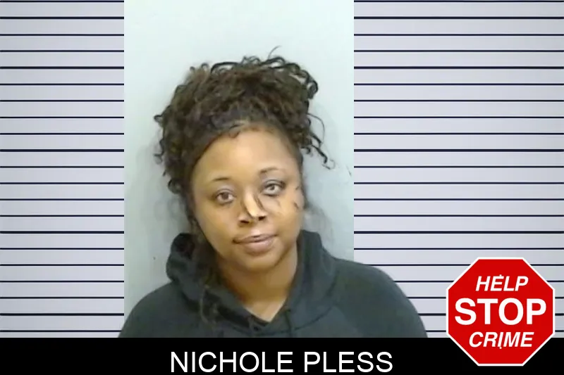 Nichole Pless Mugshots