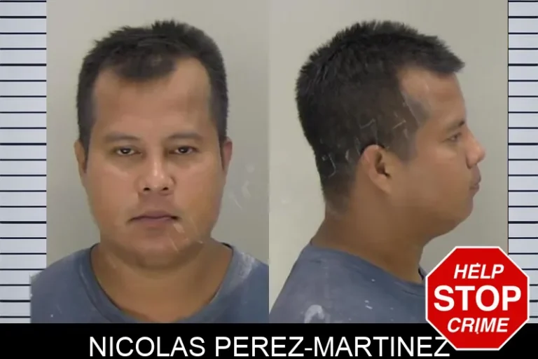 Nicolas Perez-Martinez