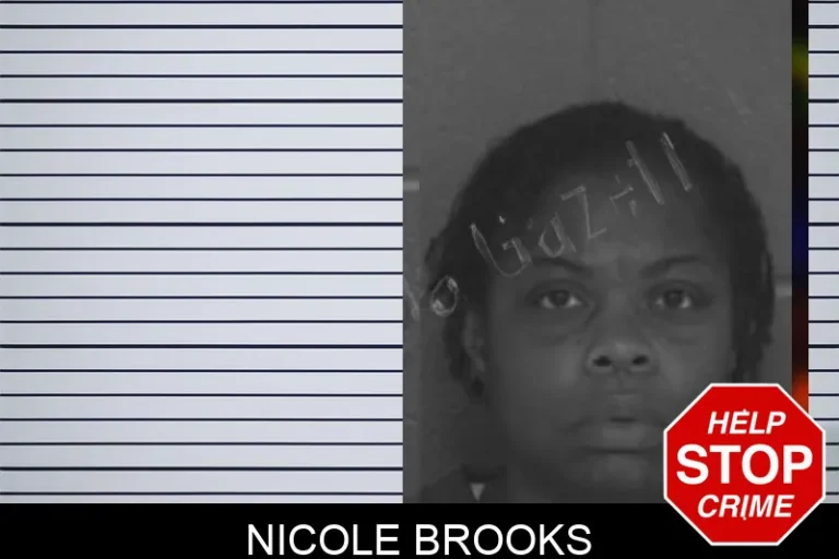 Nicole Brooks mugshot – Barrow County , Georgia Nicole Brooks