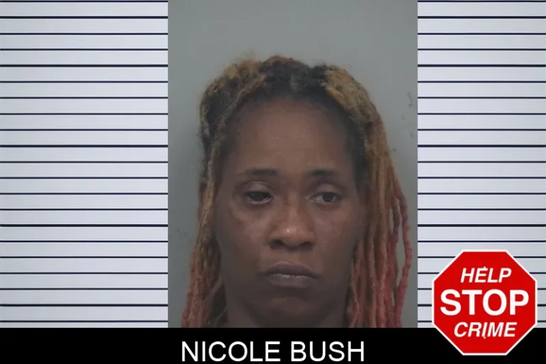Nicole Bush mugshot – Gwinnett County , Georgia Nicole Bush