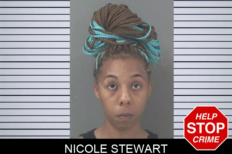 Nicole Stewart Mugshots