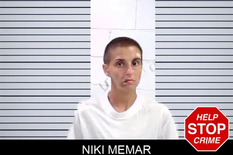 Niki Memar mugshot – Fulton County , Georgia Niki Memar
