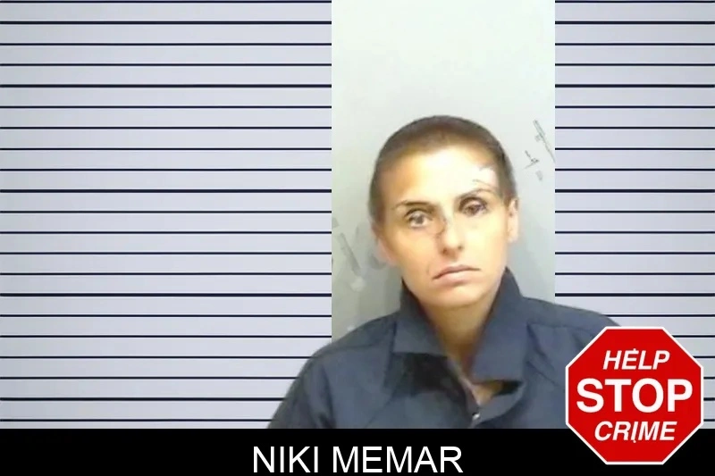 Niki Memar mugshot