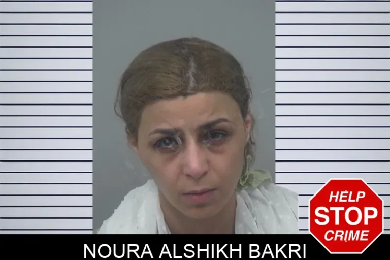Noura Alshikh Bakri