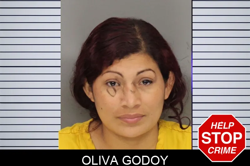 Oliva Godoy Mugshots