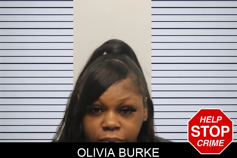Olivia Burke Mugshots