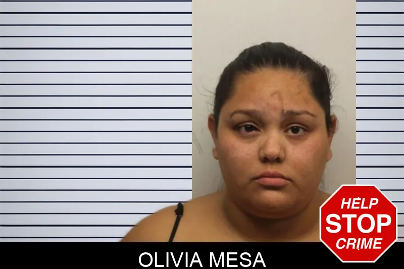Olivia Mesa mugshot