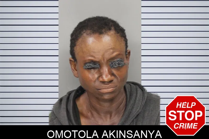 Omotola Akinsanya mugshot