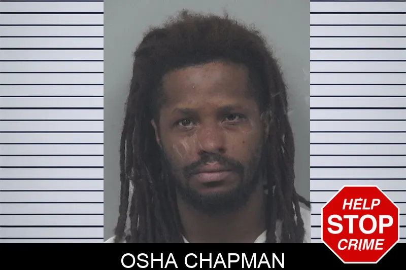 Osha Chapman mugshot – Gwinnett County , Georgia Osha Chapman mugshot