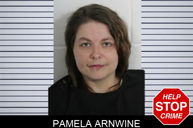 Pamela Arnwine mugshot