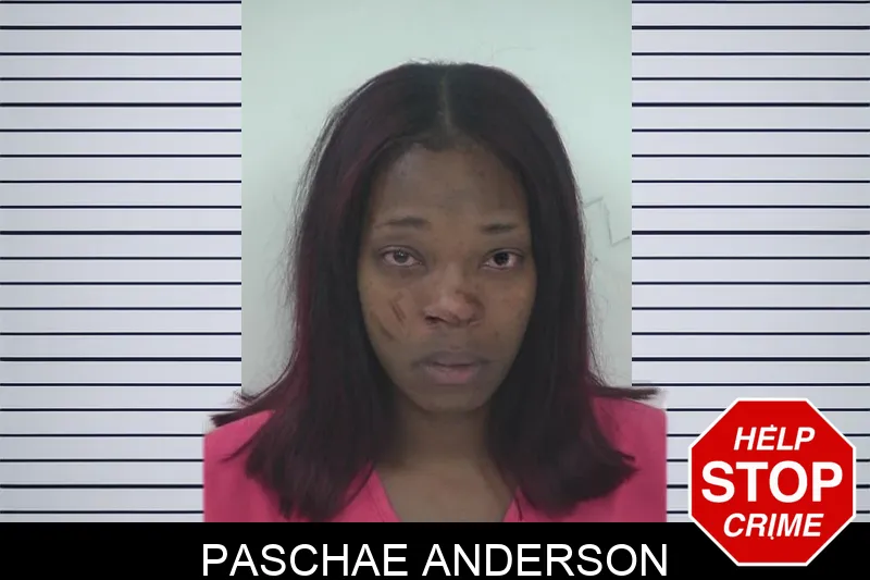Paschae Anderson mugshot
