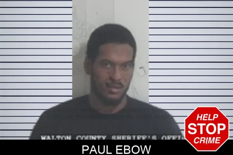 Paul Ebow