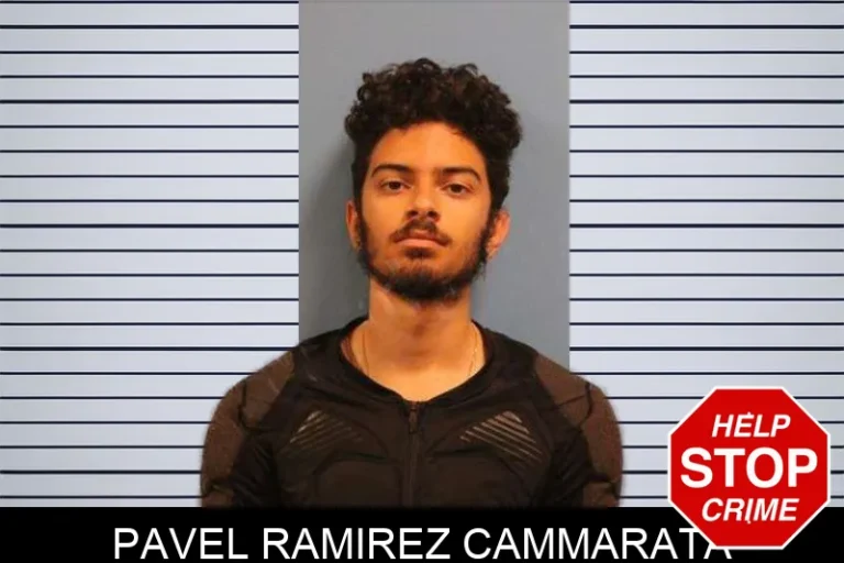 Pavel Ramirez Cammarata