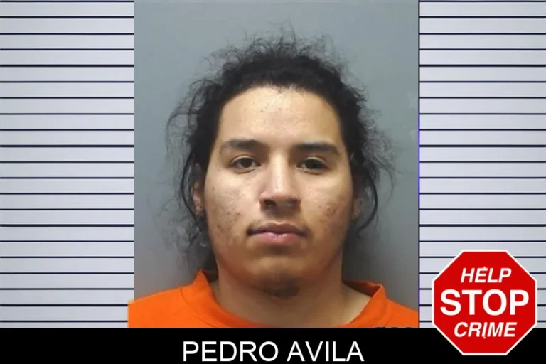 Pedro Avila mugshot – Cherokee County , Georgia Pedro Avila