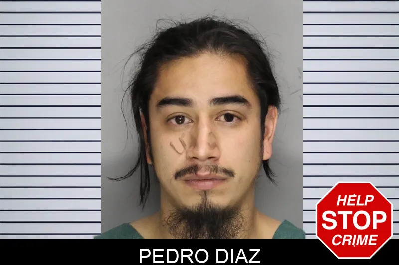 Pedro Diaz Mugshots