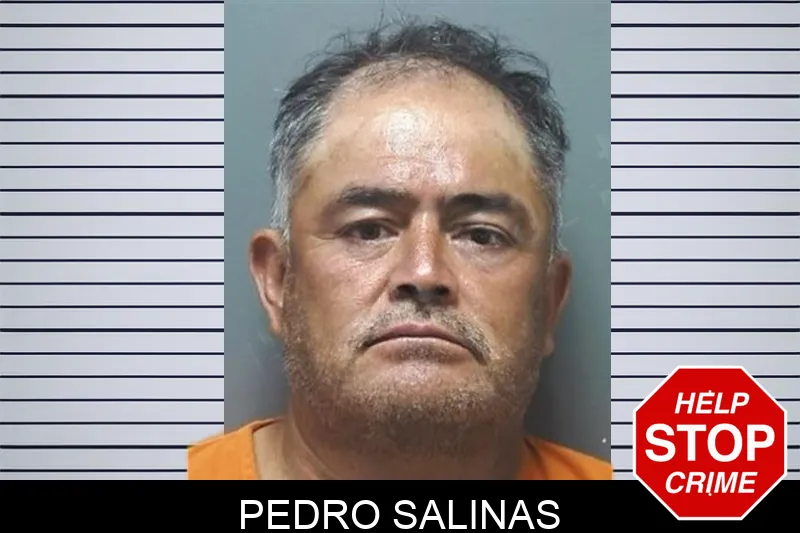 Pedro Salinas mugshot – Cherokee County , Georgia Pedro Salinas mugshot