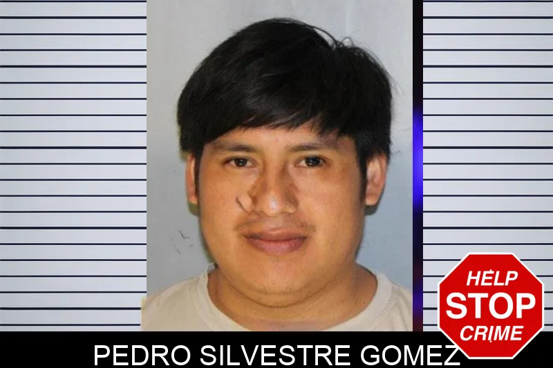 Pedro Silvestre Gomez Mugshots