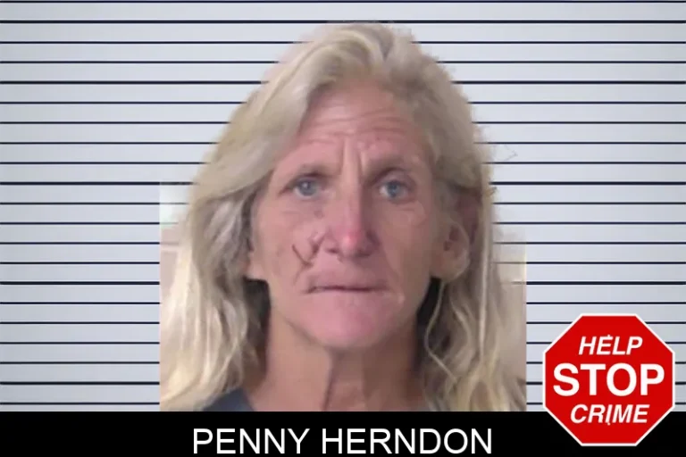 Penny Herndon