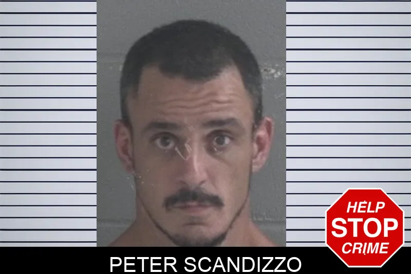 Peter Scandizzo Mugshots