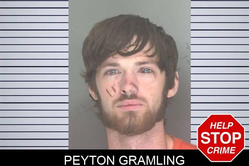 Peyton Gramling Mugshots