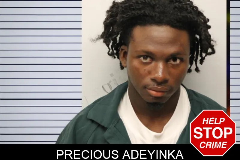 Precious Adeyinka Mugshots