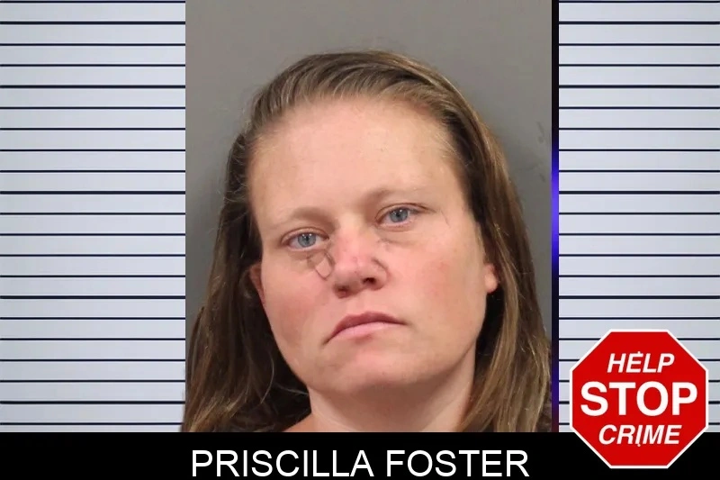 Priscilla Foster mugshot – Cobb County , Georgia Priscilla Foster mugshot