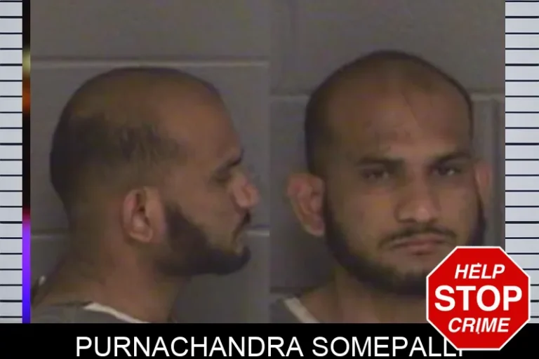 Purnachandra Somepalli