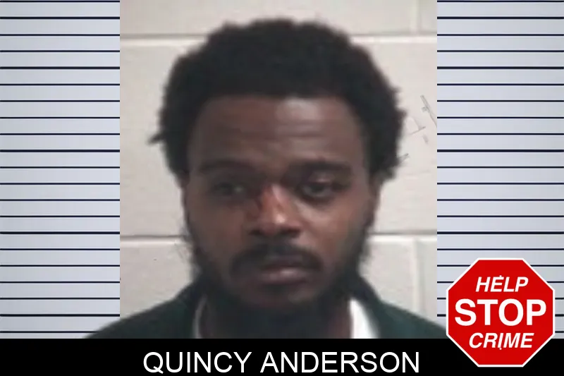 Quincy Anderson Mugshots