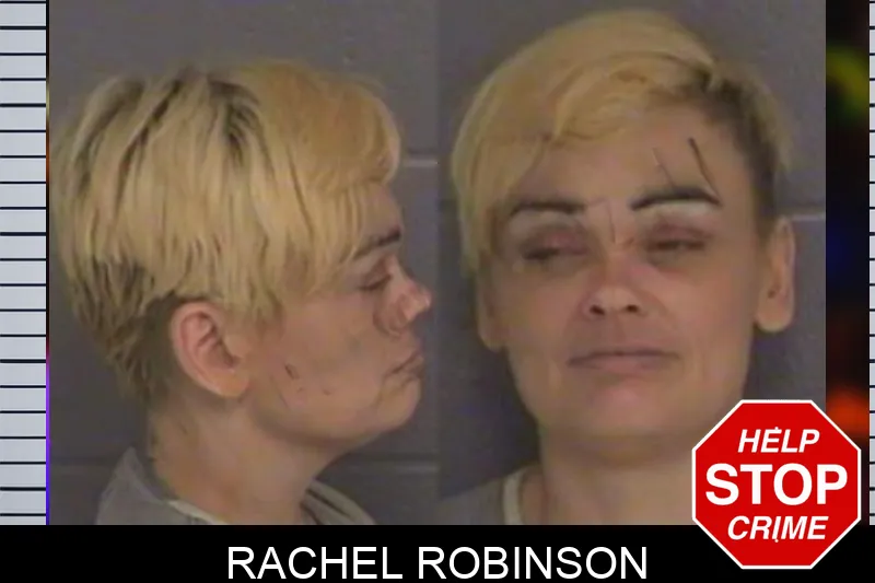 Rachel Robinson Mugshots