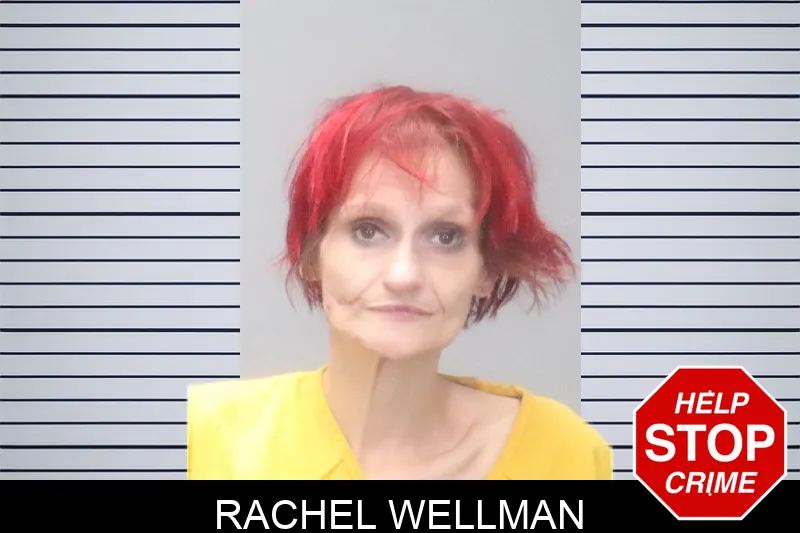 Rachel Wellman Mugshots