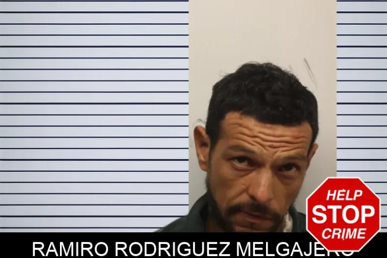 Ramiro Rodriguez Melgajero