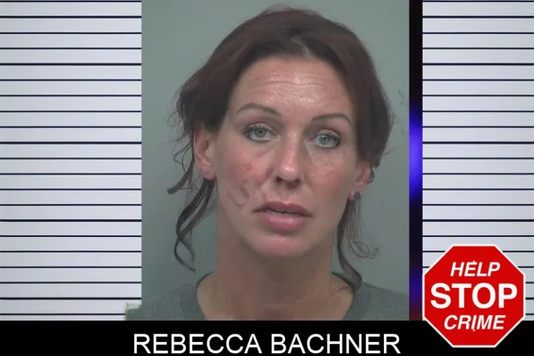 Rebecca Bachner