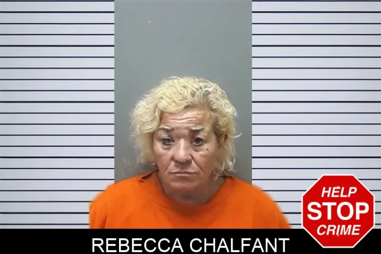 Rebecca Chalfant mugshot – Cherokee County , Georgia Rebecca Chalfant