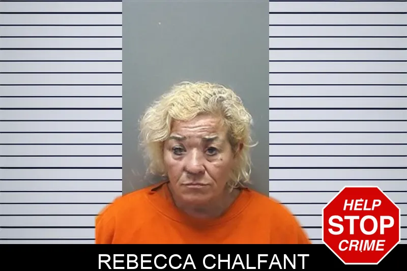 Rebecca Chalfant Mugshots