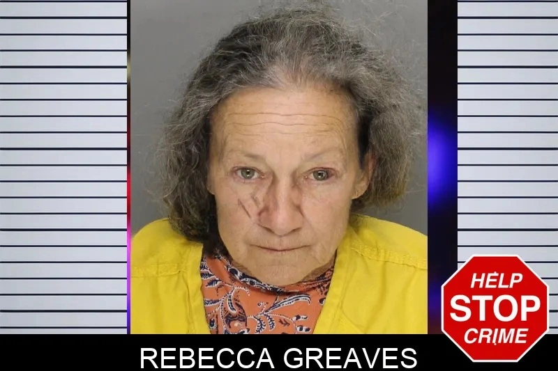 Rebecca Greaves Mugshots
