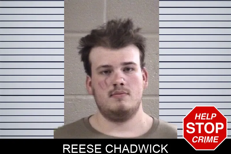 Reese Chadwick Mugshots