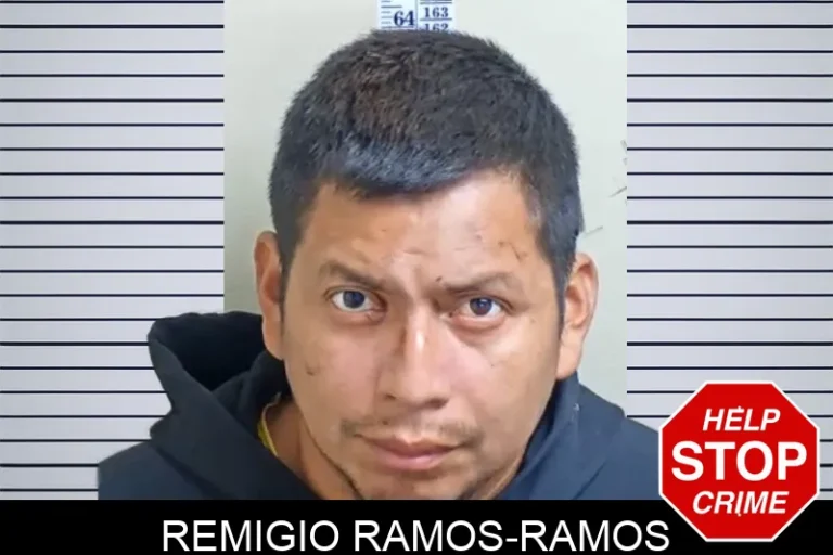 Remigio Ramos-Ramos
