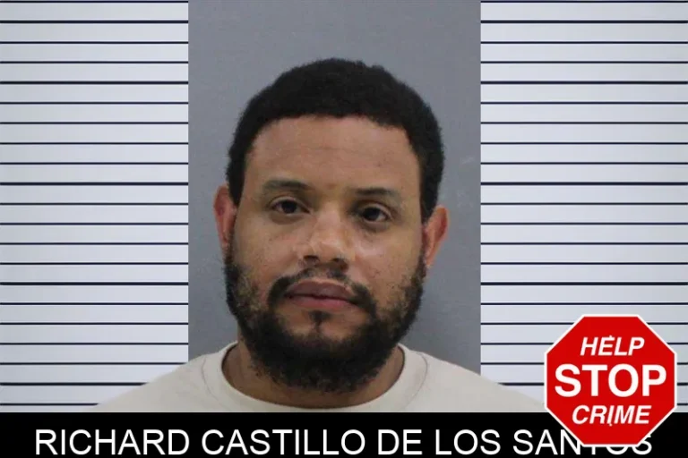 Richard Castillo De Los Santos