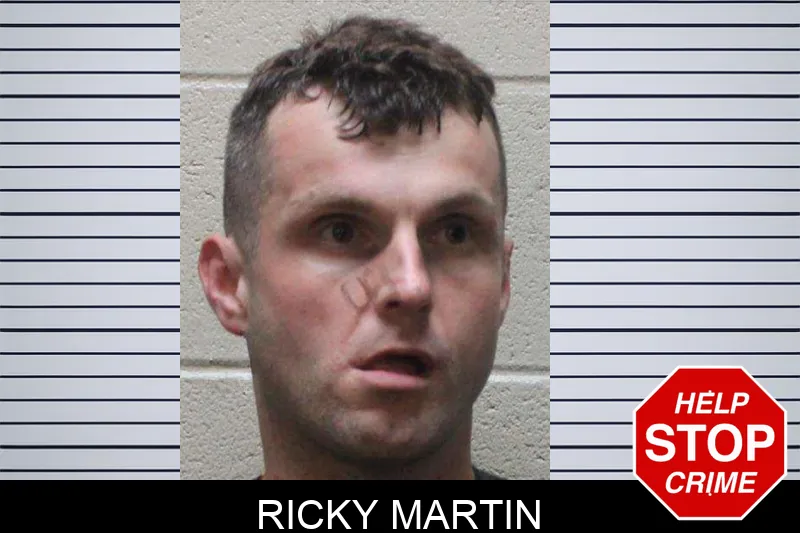 Ricky Martin Mugshots